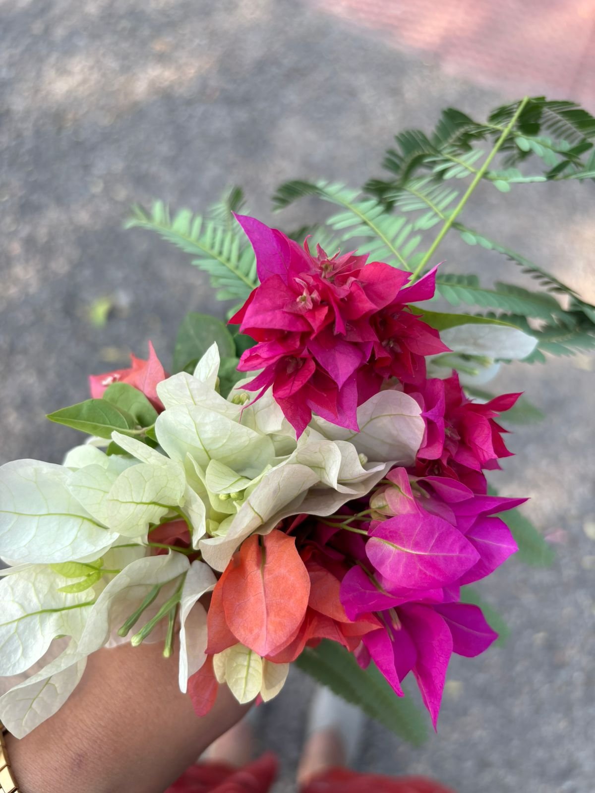Beautiful flowers